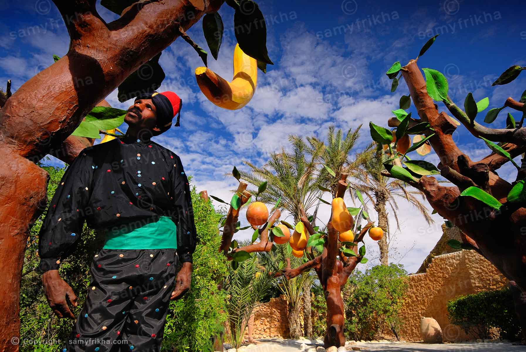 Samy Frikha Photography Divers