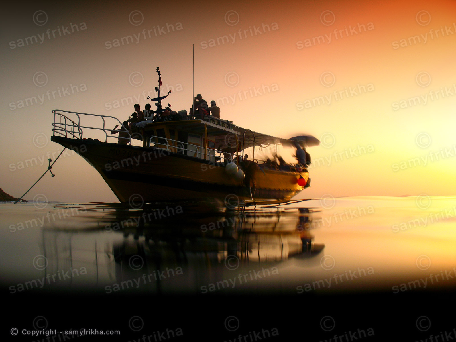 Samy Frikha Photography Divers