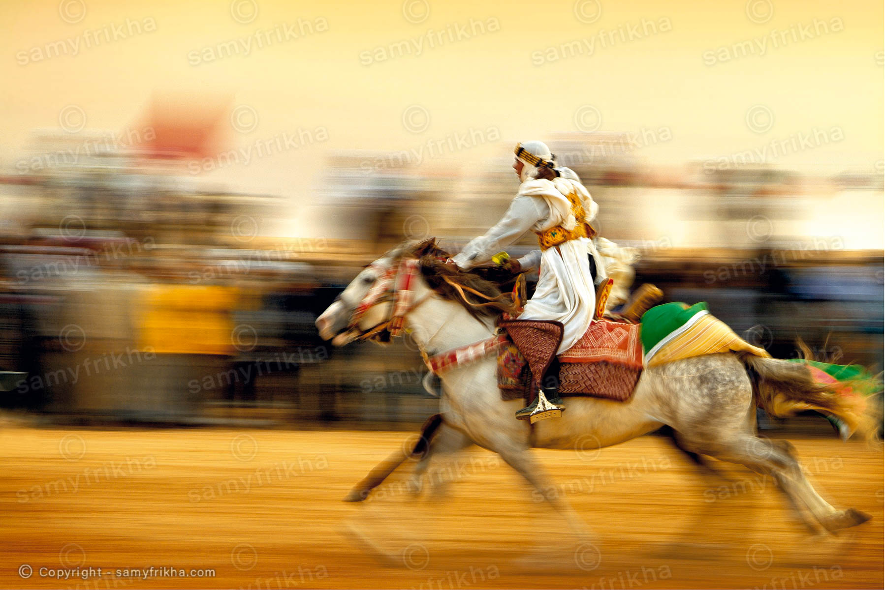 Samy Frikha Photography Divers