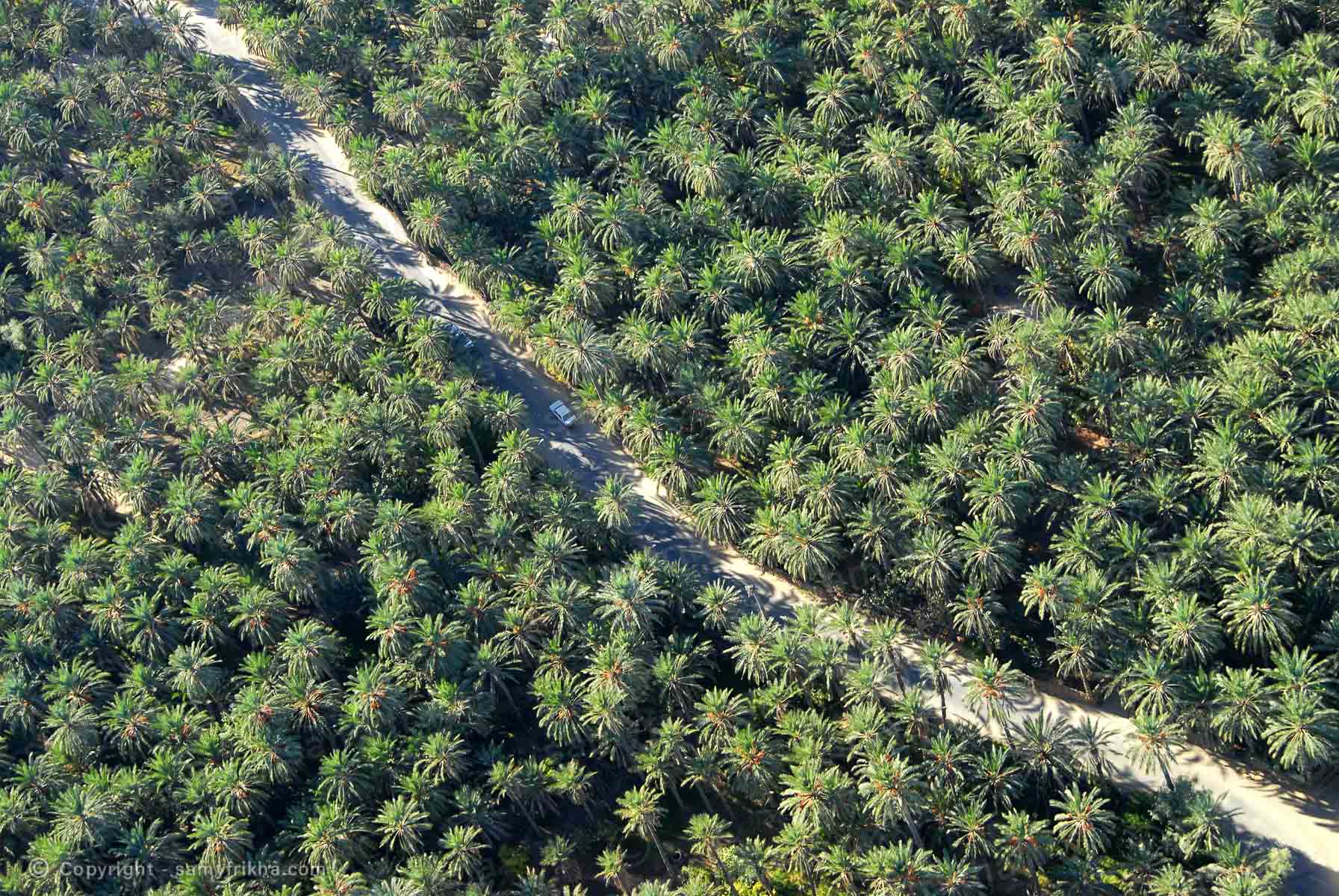 Oasis et palmier  de Tozeur en  Tunisie prise par drone