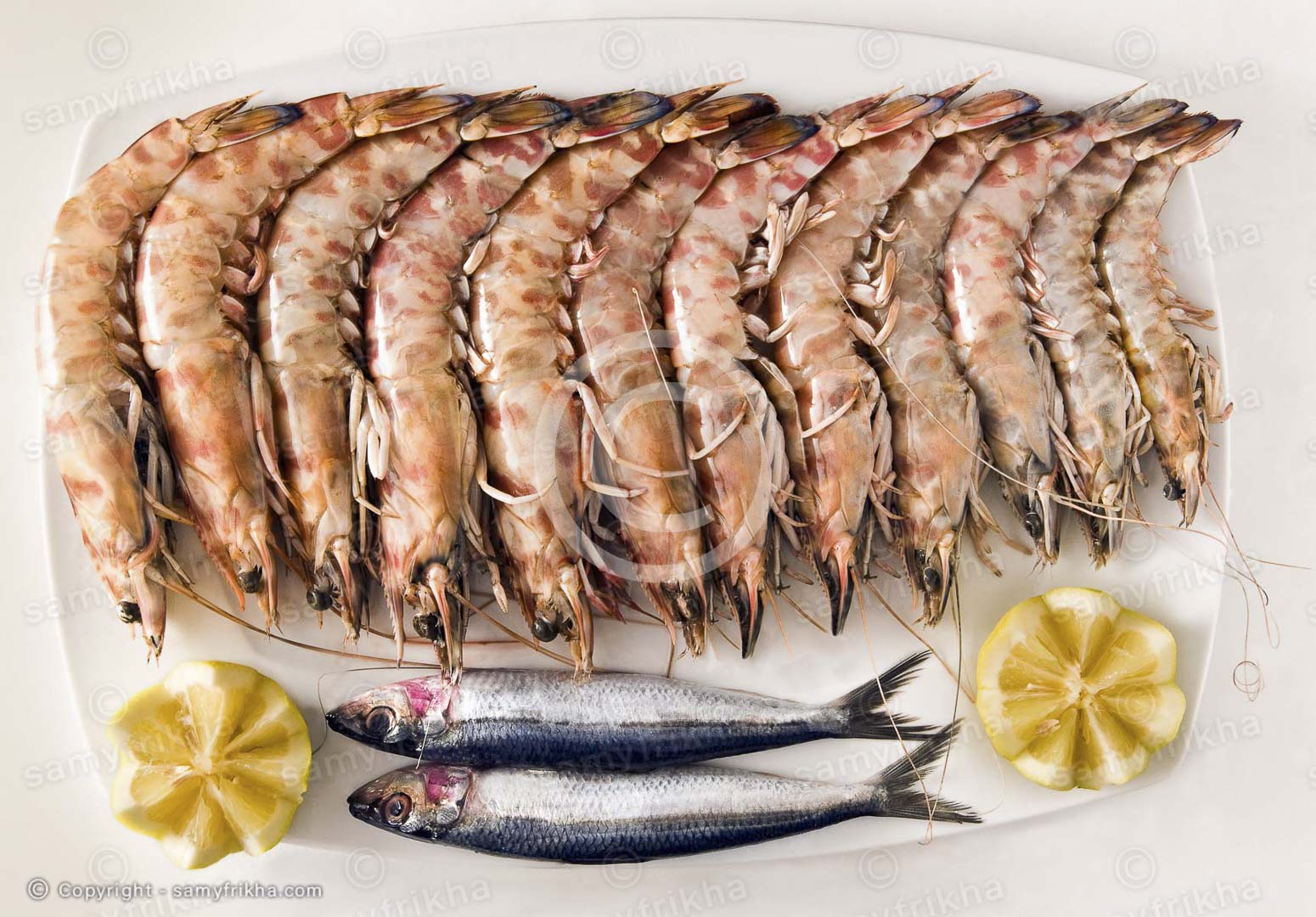 Frikha Photograpy Food 47