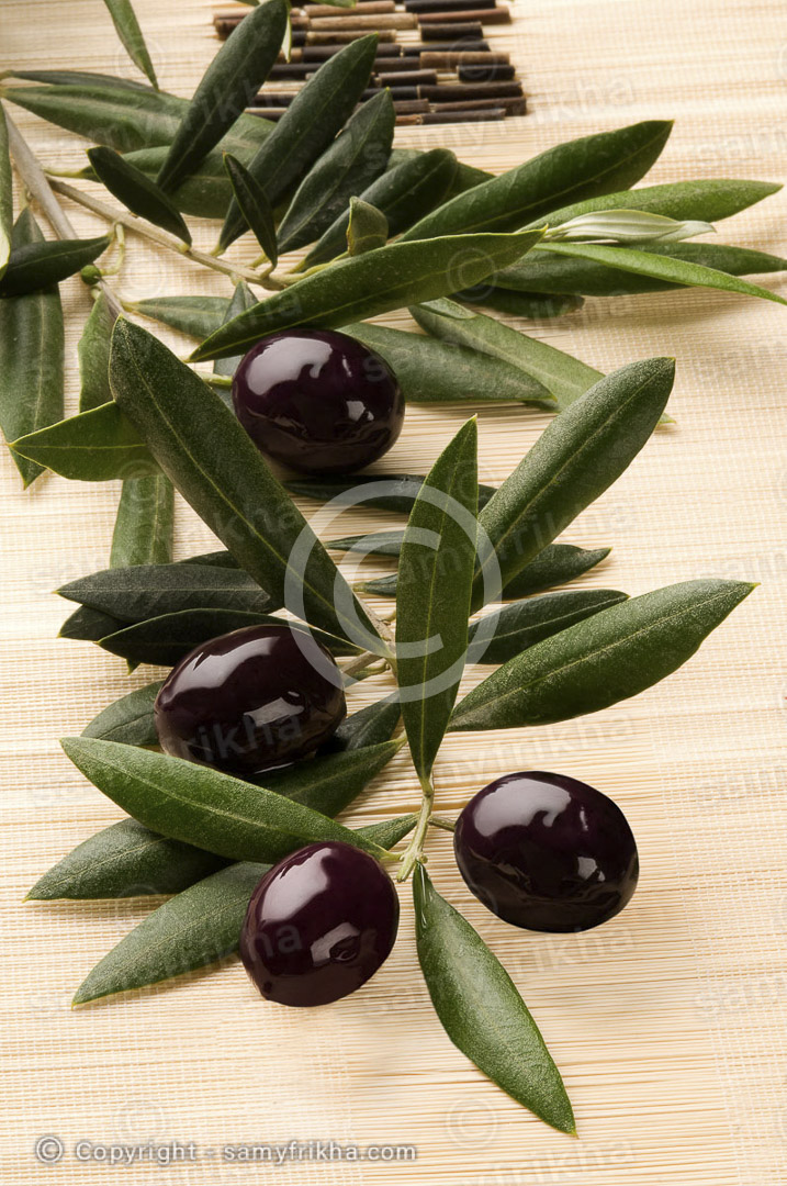 Frikha Photograpy Food 631