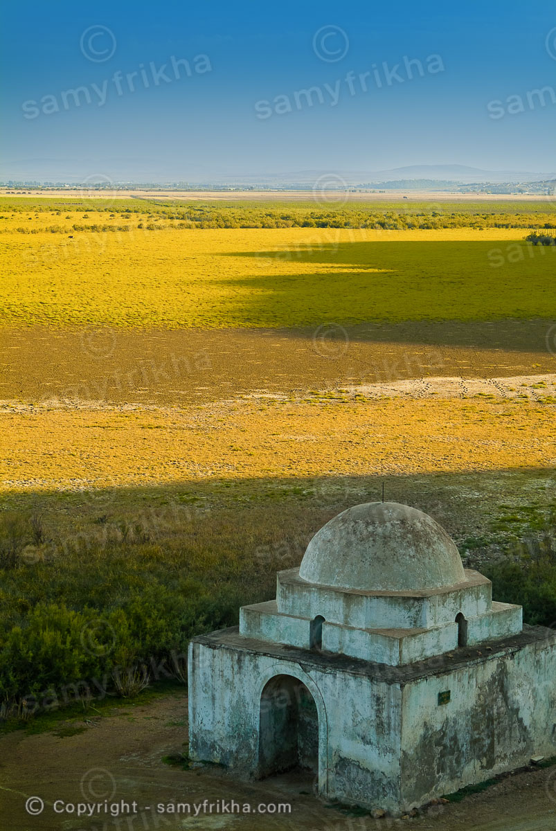 Photography Landscapes & Nature