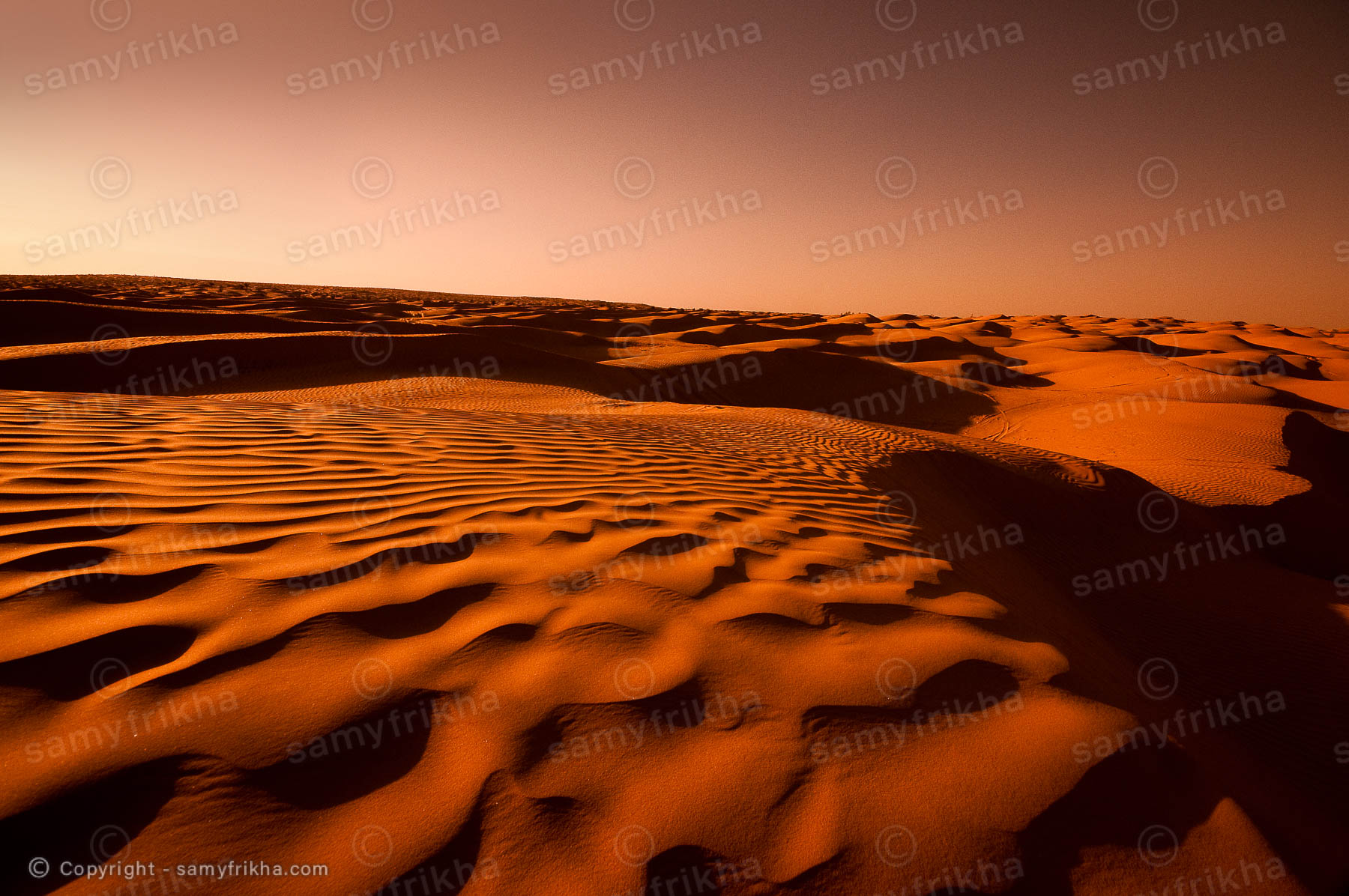 Dune de Douz  : Samy Frikha