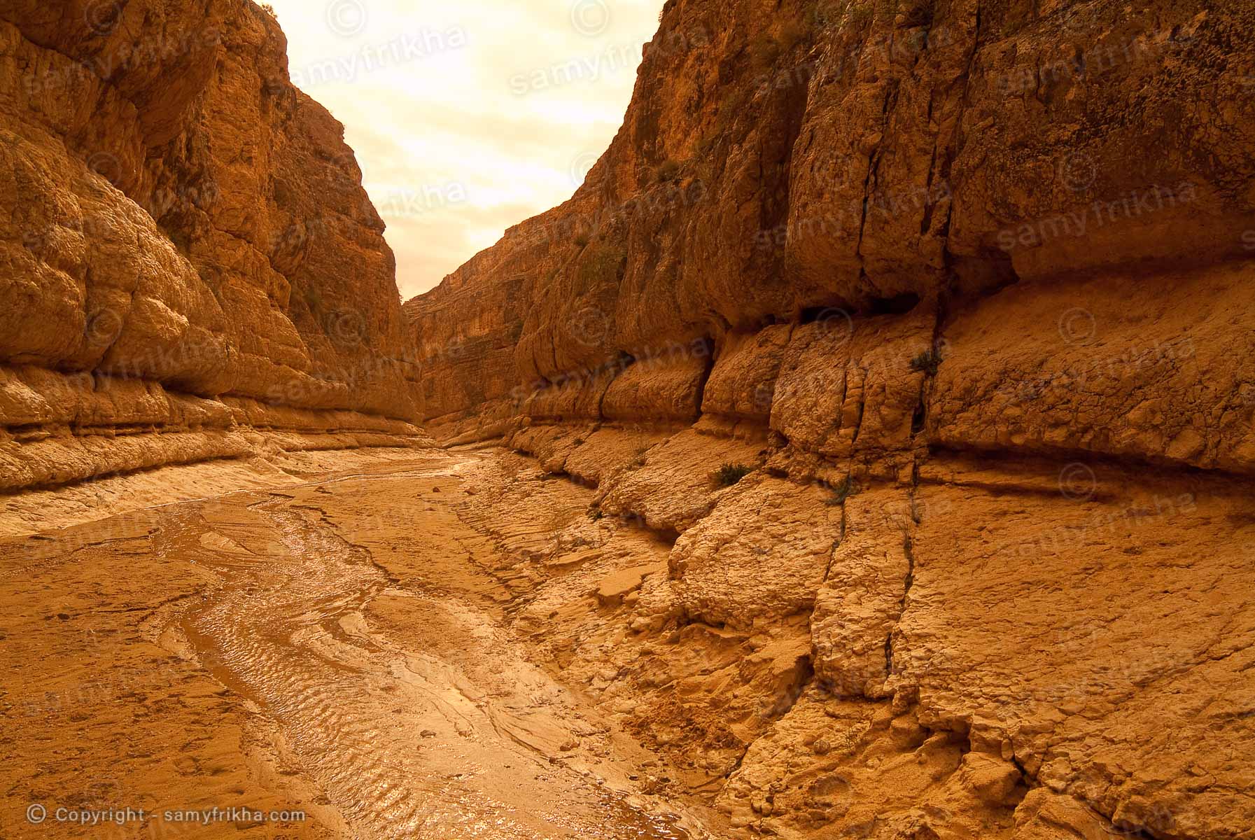 Photography Landscapes & Nature