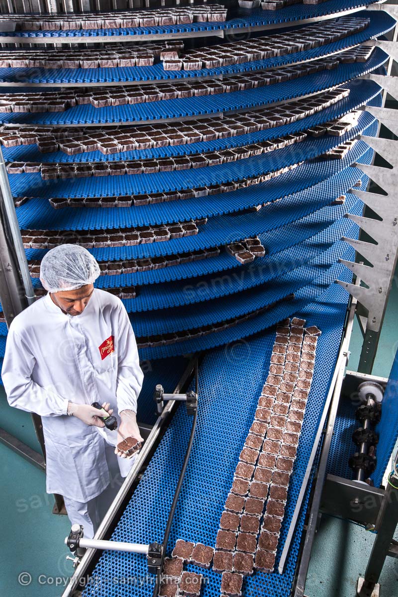 Frikha Photograpy Industry 51