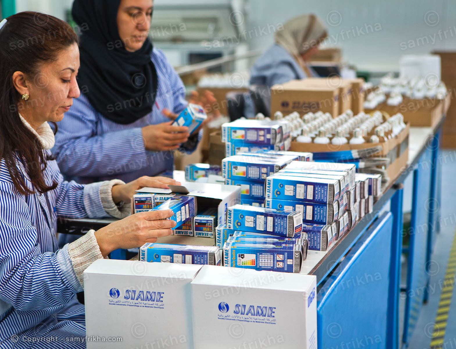 Frikha Photograpy Industry 32