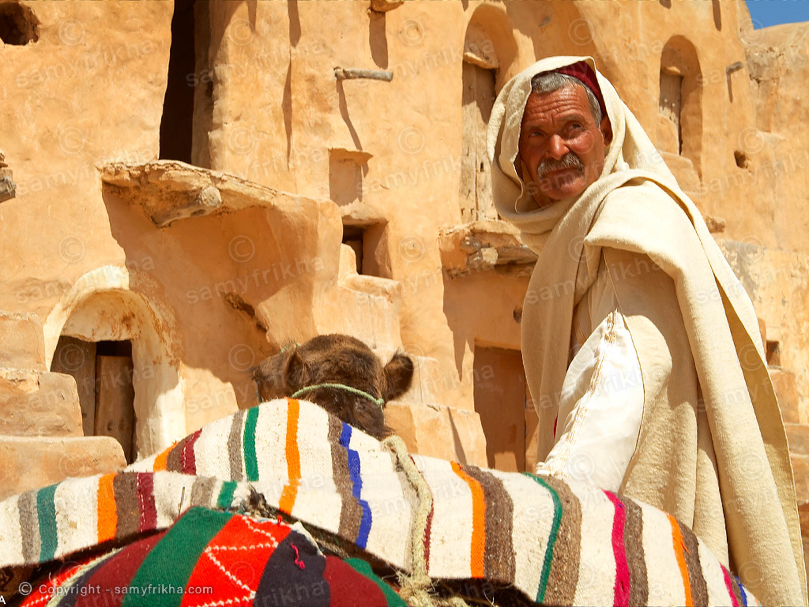 Frikha Photograpy Portrait 22