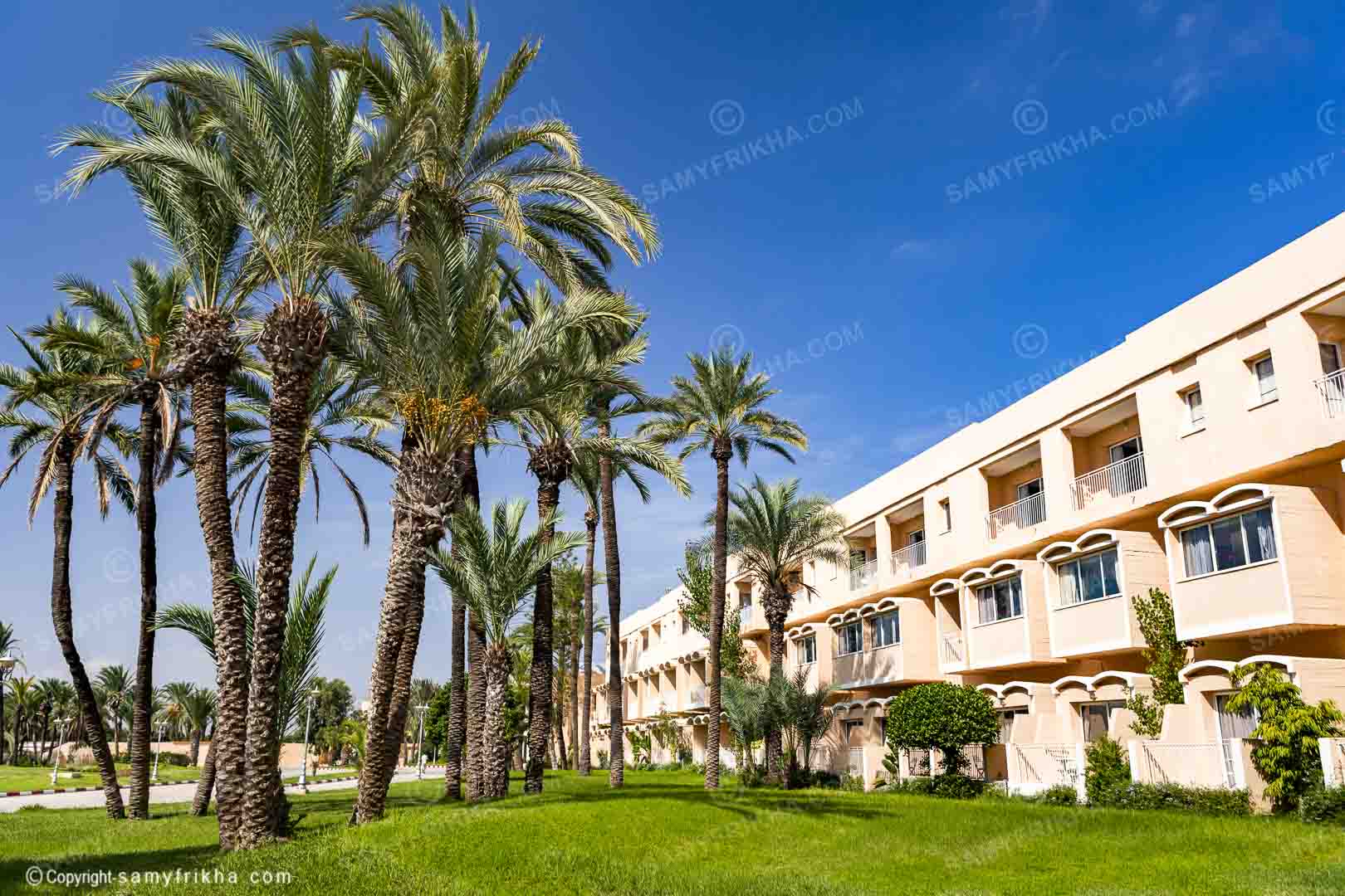 photographe hôtellerie en Tunisie Hotel  skanesfamily